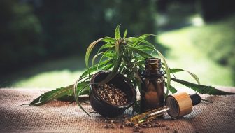 How to Invest in the Cannabis Industry: 5 Factors to Consider 