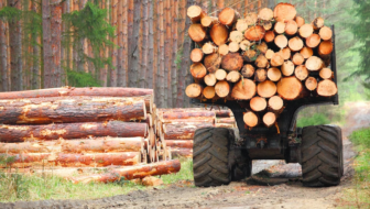 timber sourcing