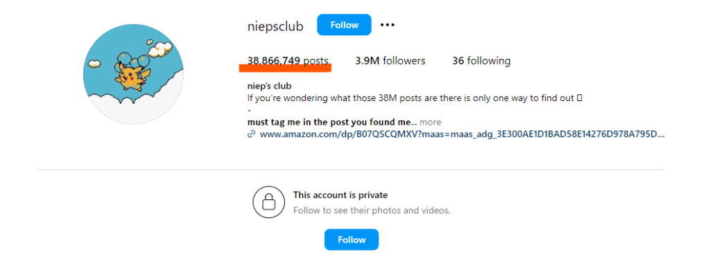 @niepsclub profile screenshot