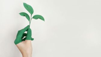 Eco-Friendly Practices Every Burleson Business Should Adopt
