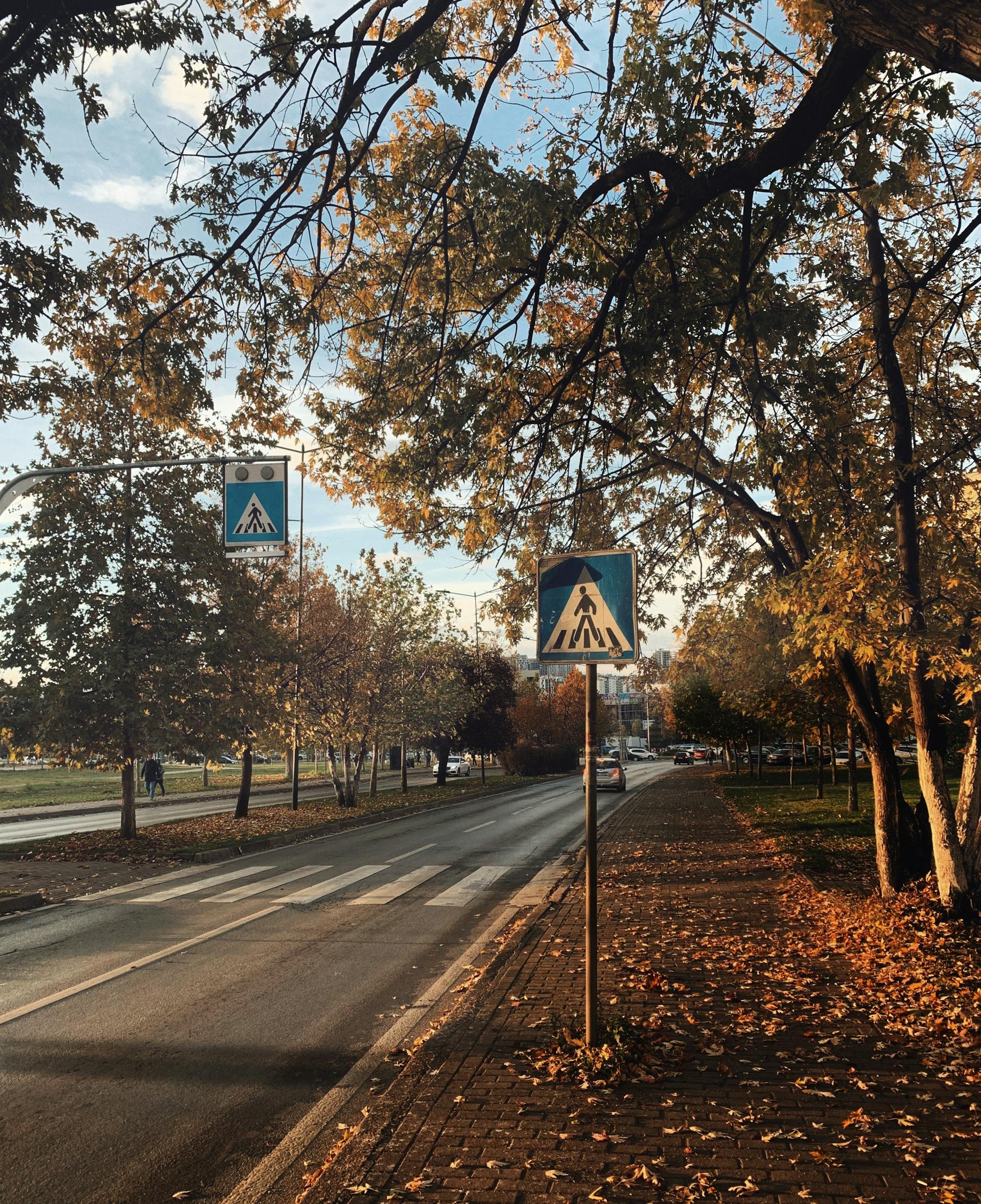 When Tech Saves Lives – Montana’s Road to Safer Streets