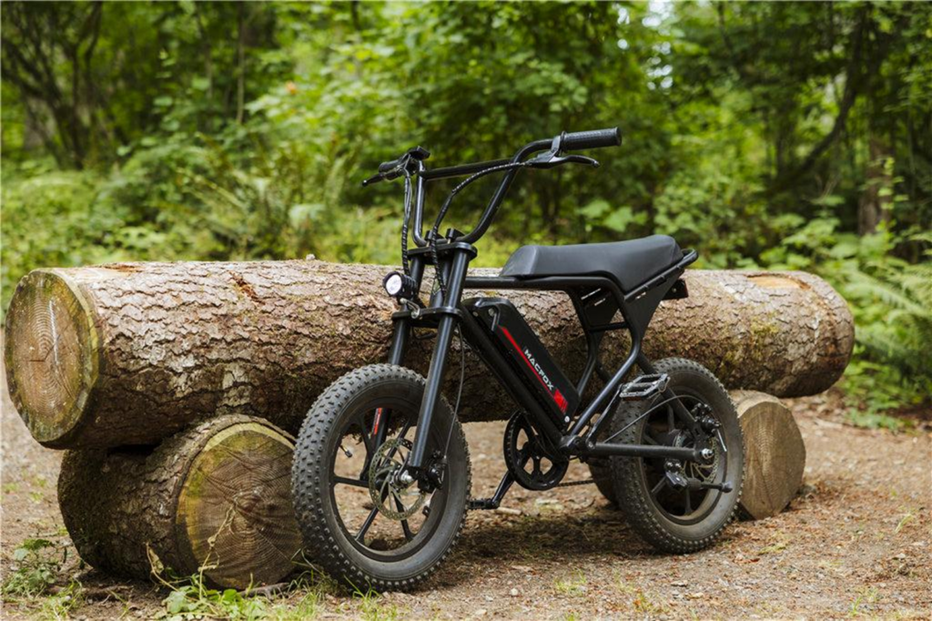 What I Learned After 1,000 Miles on an Electric Bike