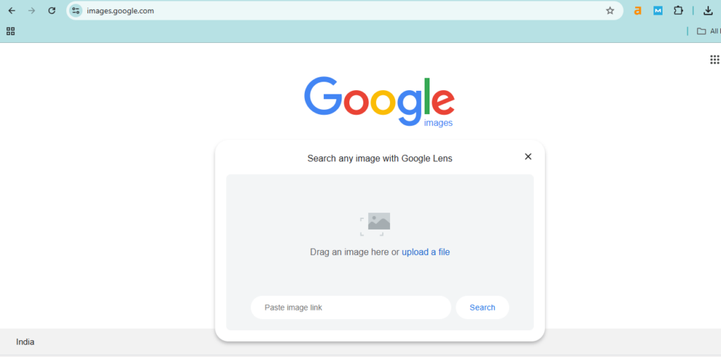 Use Reverse Image Search