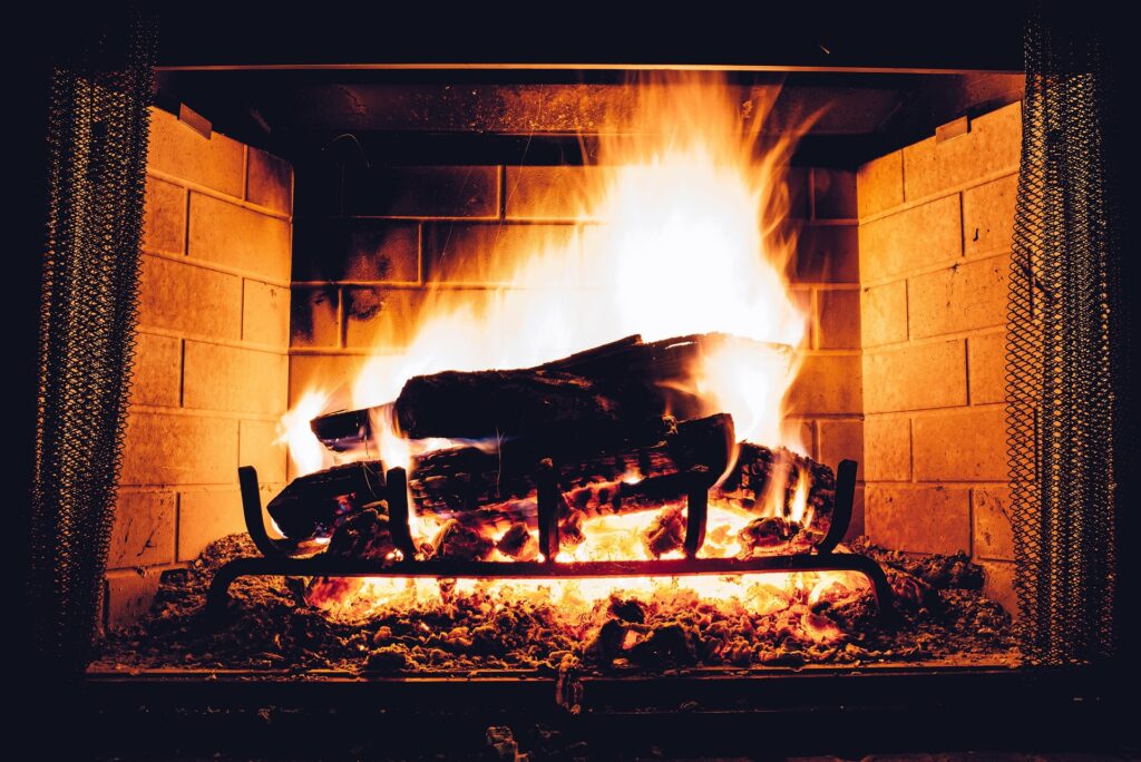 🔥 From Humble Beginnings to National Recognition: How Best Burn Firewood Became a Leader in Kiln-Dried Firewood
